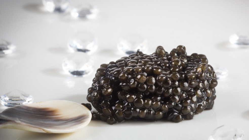 Slide le caviar d'Aquitaine