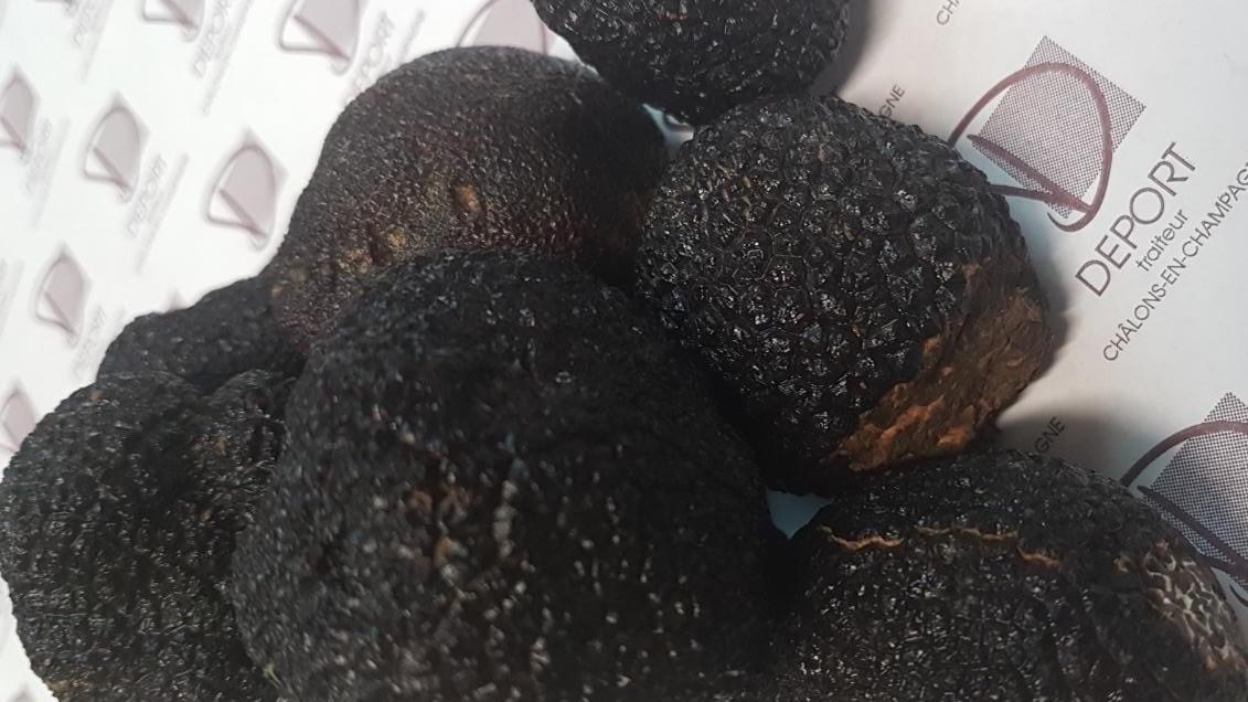 Slide les truffes de Champagne